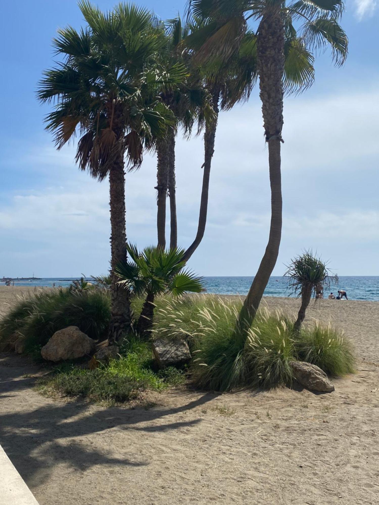 Almeria Playa Zapillo Dış mekan fotoğraf